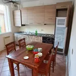 Rent 4 bedroom apartment of 70 m² in Adria