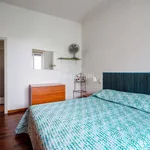 Rent 2 bedroom apartment of 50 m² in Novara