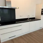 Rent 1 bedroom apartment of 60 m² in Amsterdam