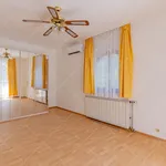 Rent 5 bedroom apartment of 345 m² in Budapest