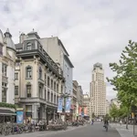 Rent 1 bedroom apartment in Antwerp