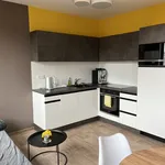 Rent 1 bedroom apartment of 35 m² in Brno