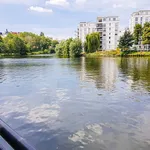 Rent 1 bedroom apartment of 45 m² in Berlin