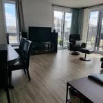  appartement avec 6 chambre(s) en location à Sherbrooke