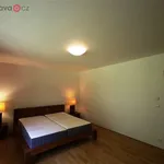 Rent 3 bedroom apartment of 70 m² in Střelice