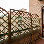 Rent 3 bedroom apartment in Rome