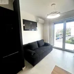 Rent 2 bedroom apartment of 40 m² in Zielona Góra