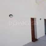 Rent 1 bedroom house of 55 m² in Marsala