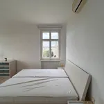 Miete 1 Schlafzimmer wohnung von 23 m² in Berlin