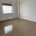 Rent 3 bedroom apartment of 110 m² in Palermo