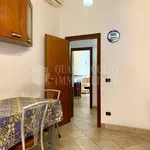 Rent 1 bedroom apartment of 70 m² in Roma