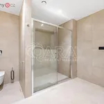 Pronajměte si 1 ložnic/e byt o rozloze 65 m² v Trhový Štěpánov