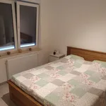 Rent 1 bedroom apartment in Saint-Nicolas