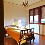 Rent 4 bedroom apartment of 90 m² in Pisa