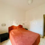 Rent 2 bedroom apartment of 65 m² in Torino