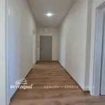 Pronajměte si 2 ložnic/e byt o rozloze 58 m² v Pilsen