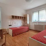 Rent 3 bedroom apartment of 60 m² in Trento