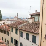 Rent 1 bedroom apartment of 35 m² in florence