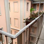 Rent 2 bedroom apartment of 65 m² in Milano