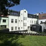 Rent 1 bedroom apartment of 40 m² in Pelhřimov