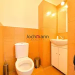 Rent 1 bedroom house of 593 m² in Za Ohradami