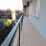 Rent 2 bedroom apartment of 85 m² in Roma