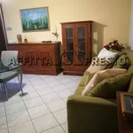 Rent 4 bedroom apartment of 80 m² in Forlì