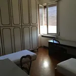 Rent a room in bologna