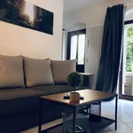 Rent 1 bedroom apartment of 592 m² in Dresden