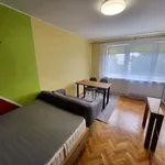 Rent 1 bedroom apartment of 27 m² in Poznan