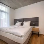 Rent 1 bedroom apartment of 50 m² in Prague