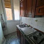 Rent 3 bedroom apartment of 70 m² in Bologna