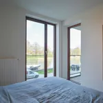 Huur 1 slaapkamer appartement in Izegem