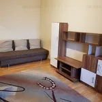 Rent 1 bedroom apartment of 24 m² in Timisoara