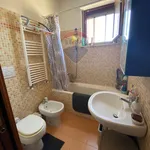 Rent 2 bedroom apartment of 50 m² in Roma