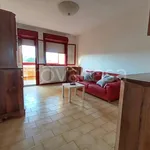 Rent 4 bedroom apartment of 95 m² in Padova