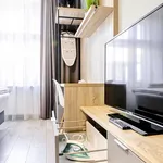 Rent 1 bedroom apartment of 30 m² in Prague