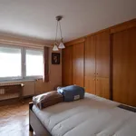 Rent 1 bedroom house of 230 m² in Riemst