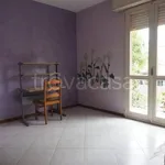 Rent 1 bedroom apartment of 80 m² in Modena