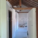 Rent 4 bedroom apartment of 98 m² in Gazzola