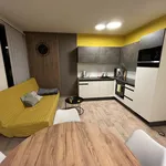 Rent 1 bedroom apartment of 35 m² in Brno