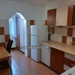 Rent 1 bedroom apartment in Grădinari