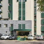 Alugar 2 quarto apartamento de 97 m² em Funchal