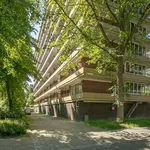 Rent 4 bedroom apartment of 94 m² in Voorhof-Hoogbouw