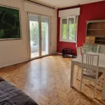 Rent 3 bedroom apartment of 85 m² in Padua