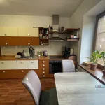 Rent 1 bedroom apartment of 27 m² in Břeclav