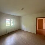 Rent 3 bedroom apartment of 60 m² in Graz