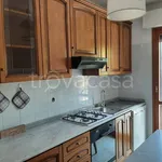 Rent 3 bedroom apartment of 80 m² in Sirolo