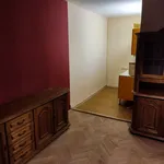 Rent 1 bedroom apartment of 46 m² in Brno