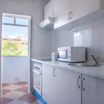 Rent a room in madrid